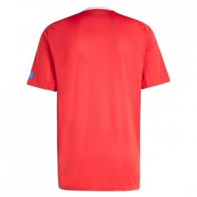 Camisola FC Nurnberg 3º Equipamento 2025-26 Manga Curta
