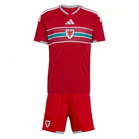 Camisola País de Gales Criança 1º Equipamento Mundial 2026 Manga Curta