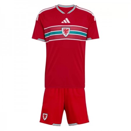 Camisola País de Gales Criança 1º Equipamento Mundial 2026 Manga Curta