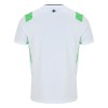 Camisola Irlanda 2º Equipamento 2026-27 Manga Curta