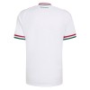 Camisola Hungria 2º Equipamento Mundial 2026 Manga Curta
