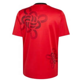 Camisola Manchester United Cultural Story 2025-26 Manga Curta