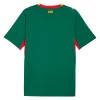 Camisola Senegal 2º Equipamento Mundial 2026 Manga Curta