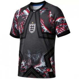 Camisola Inglaterra Lifestyle Guarda Redes Mundial 2026 Preta Manga Curta