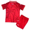 Camisola Haiti Criança 3º Equipamento Mundial 2026 Manga Curta