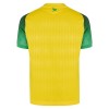 Camisola FC Nantes 1º Equipamento 2026-27 Manga Curta