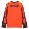 Camisola Borussia Dortmund Guarda Redes 1º Equipamento 2026-27 Laranja Manga Comprida