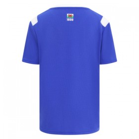 Camisola Cardiff City 1º Equipamento 2026-27 Manga Curta