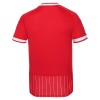 Camisola FC Köln 2º Equipamento 2026-27 Manga Curta