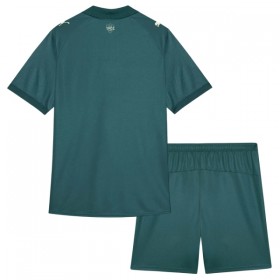 Camisola Fluminense FC Criança 3º Equipamento 2026-27 Manga Curta