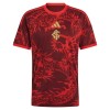 Camisola Internacional 3º Equipamento 2026-27 Manga Curta