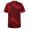 Camisola Internacional 3º Equipamento 2026-27 Manga Curta