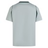 Camisola VfL Wolfsburg 2º Equipamento 2026-27 Manga Curta