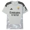 Camisola Benfica Guarda Redes 2026-27 Cinza Manga Curta