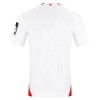 Camisola FSV Mainz 05 2º Equipamento 2026-27 Manga Curta